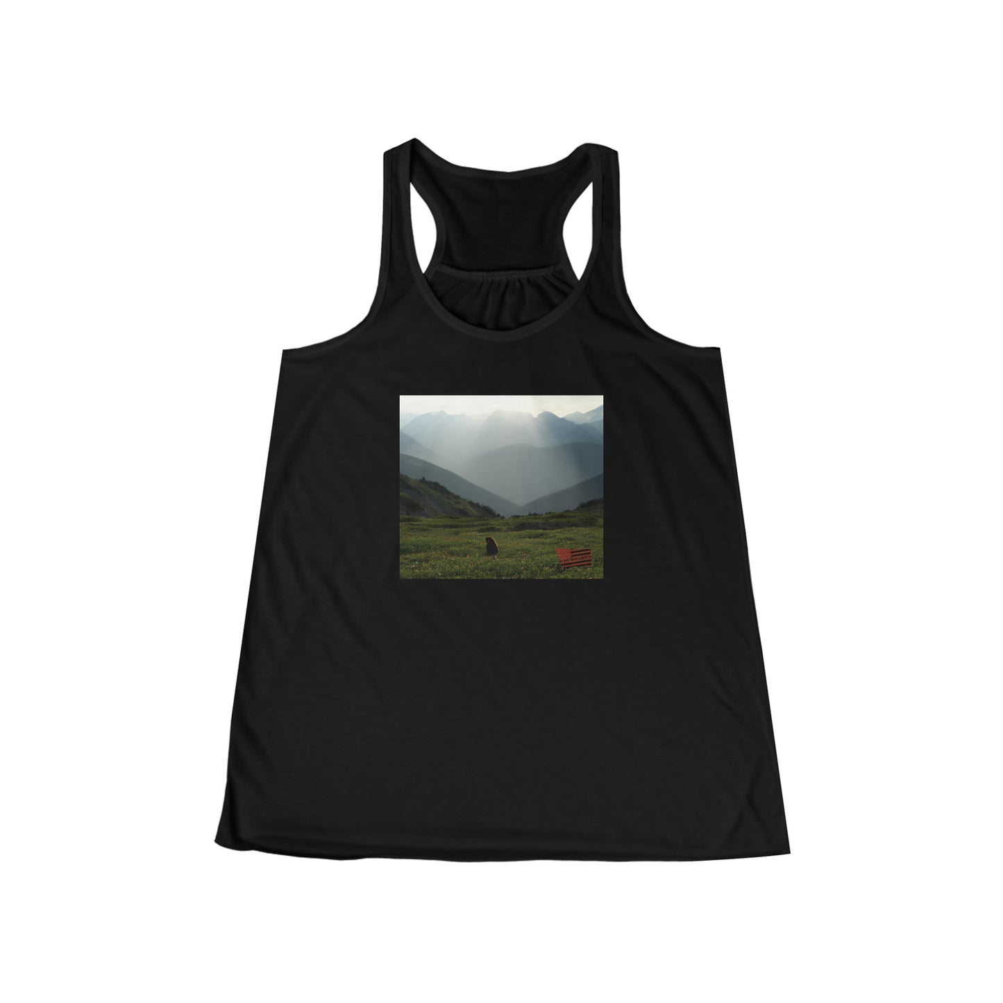 Denali - Tshirt