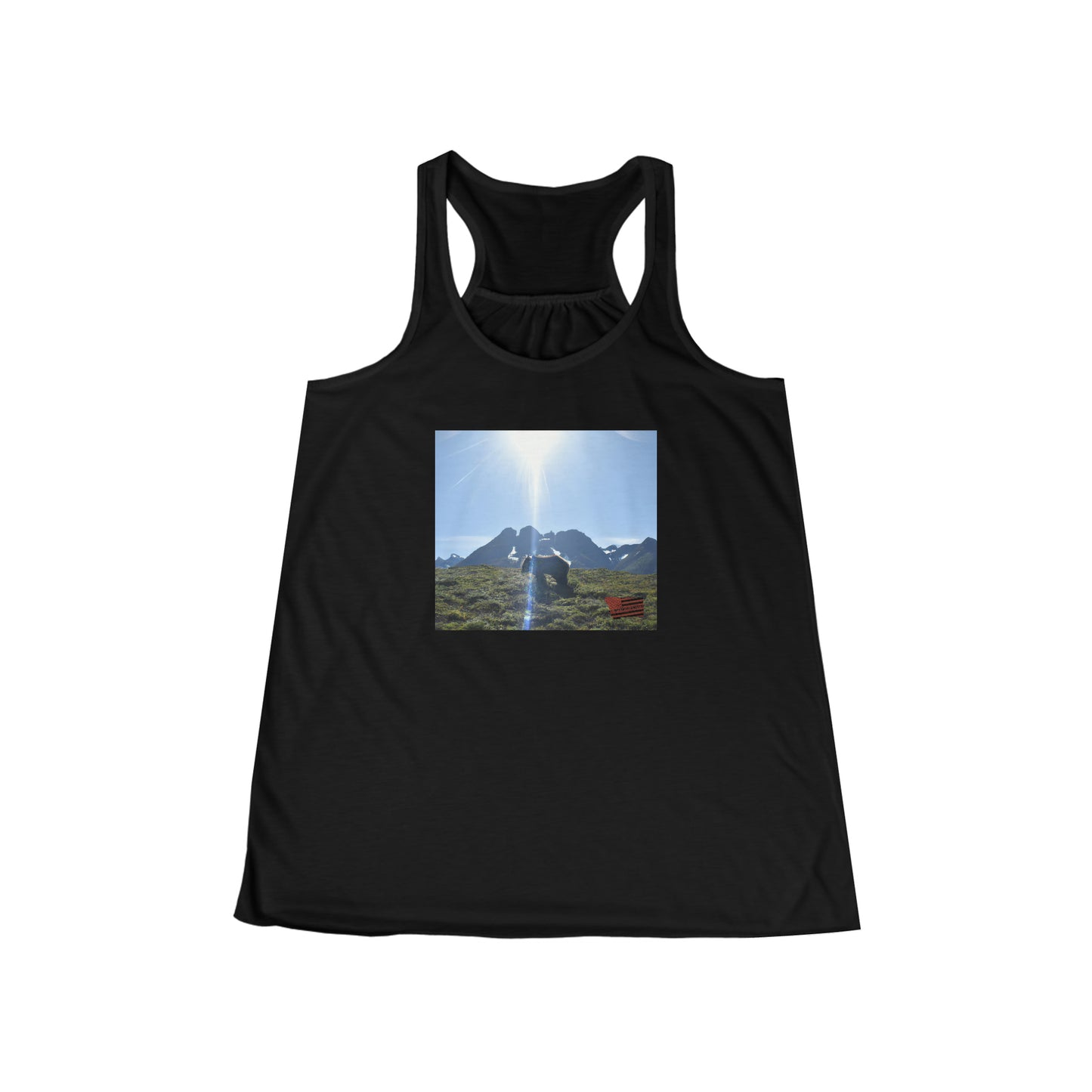 Mount Denali - Tshirt