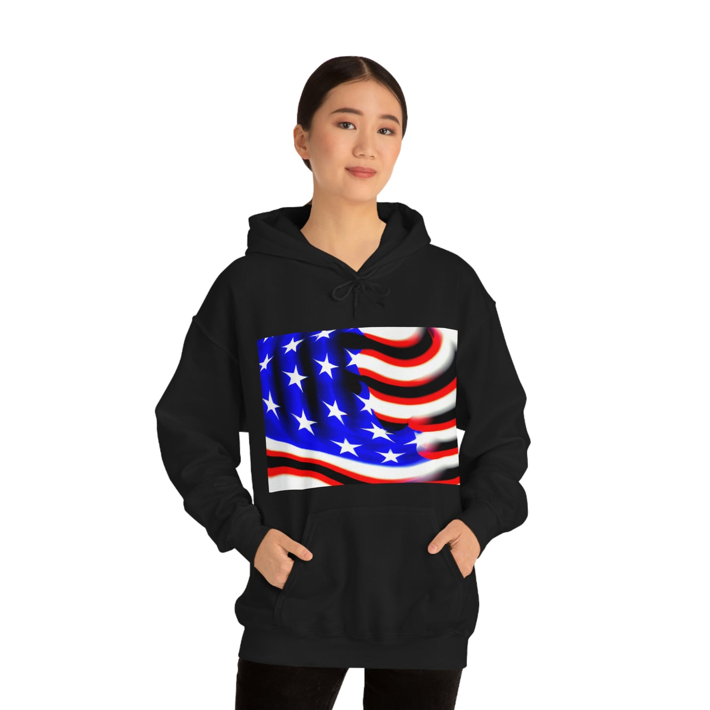 "A house divided against itself cannot stand." -Abraham Lincoln - Hoodie