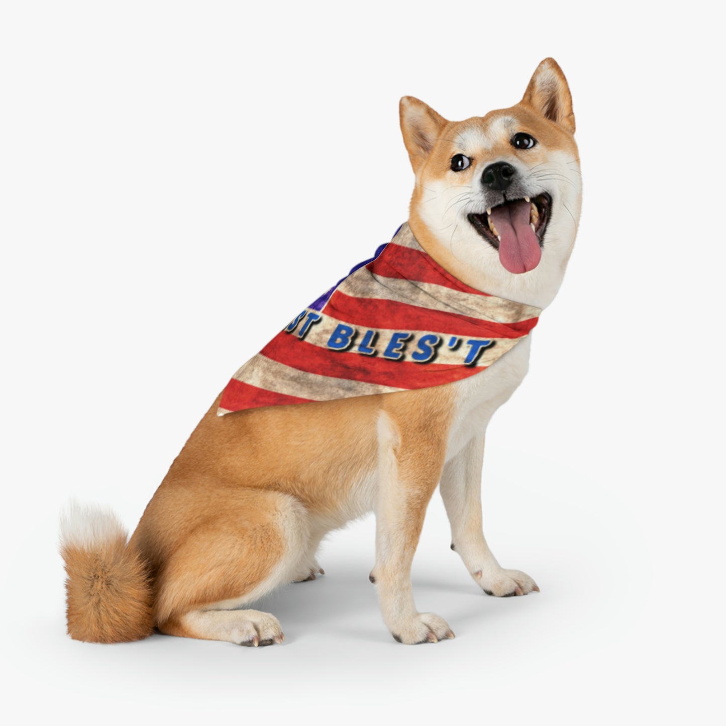 Pet Bandana