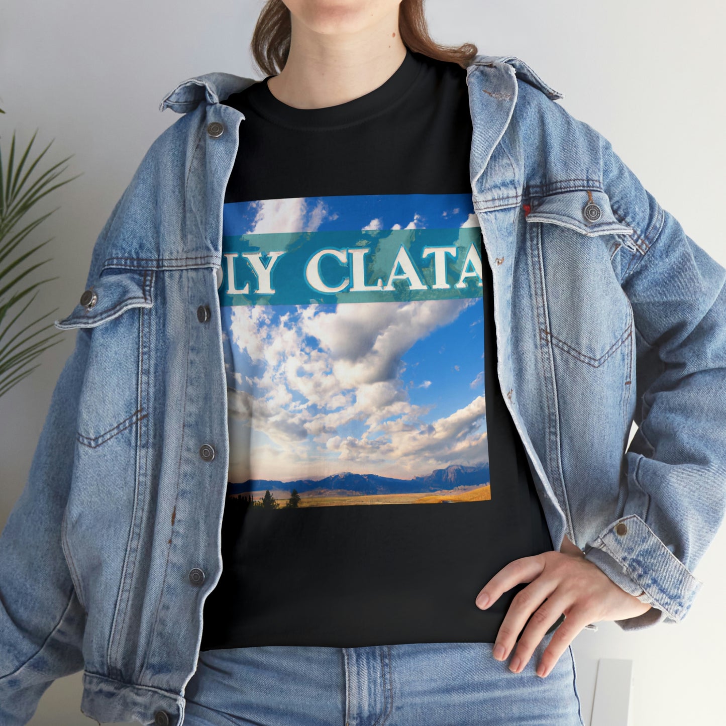 Big Sky Country or Big Sky is a name used to refer to the region of the Western United States characterized by vast empty plains and stunning mountain vistas. The term "Big Sky Country" was first used by Montana writer A.B. - T-shirt