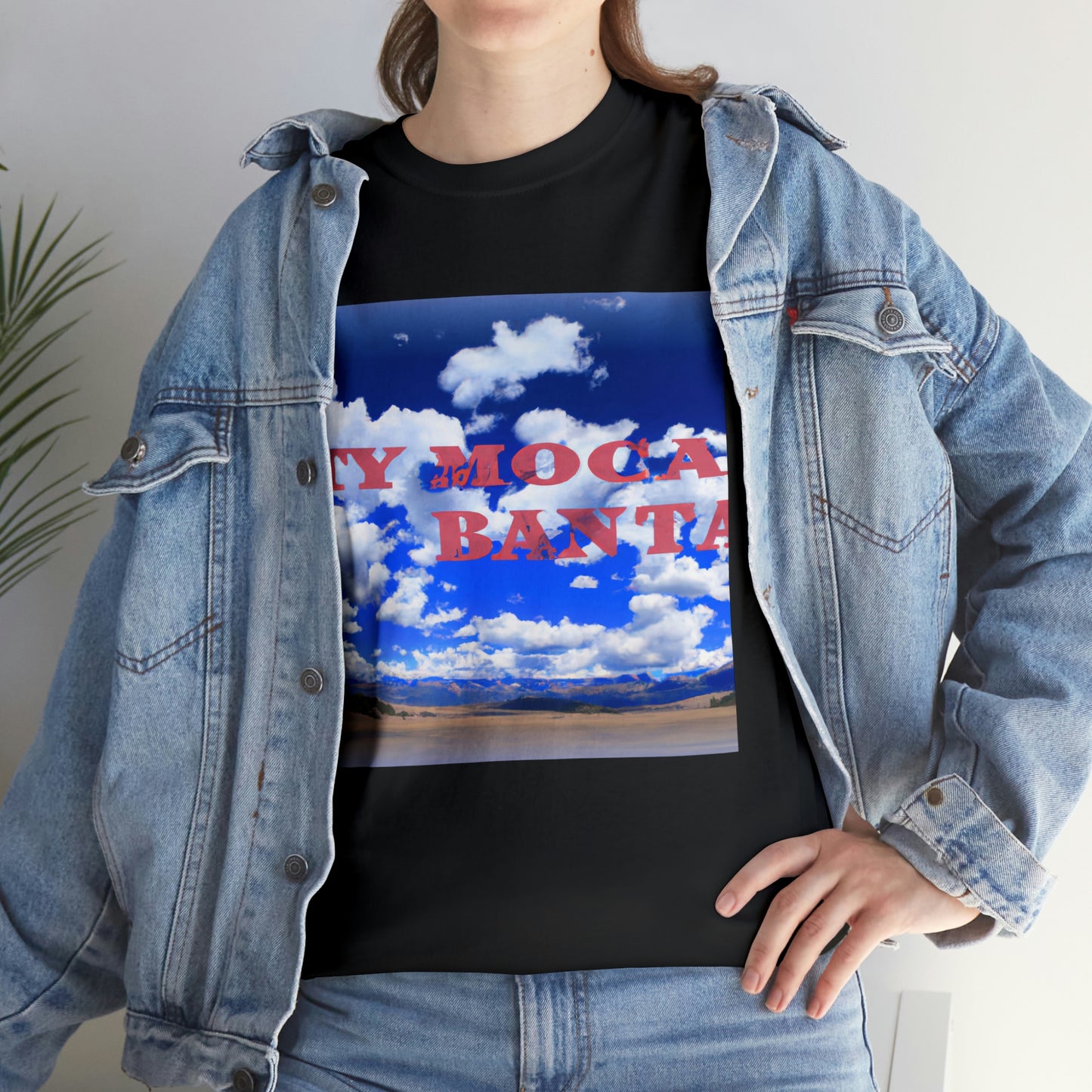 Big Sky Country is the name used to describe the vast, largely unpopulated area of Montana and Wyoming in the United States. This region of the US is known for its big skies, rolling plains and prominent mountain ranges. The land is home - T-shirt