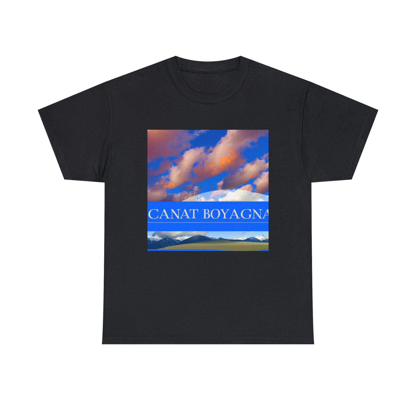 ',
    'Montana'
]

# 8

[
    'The Grand Canyon State',
    'Arizona'
] - T-shirt