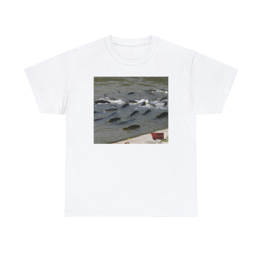 Aribandi Striped Piranha - Tshirt