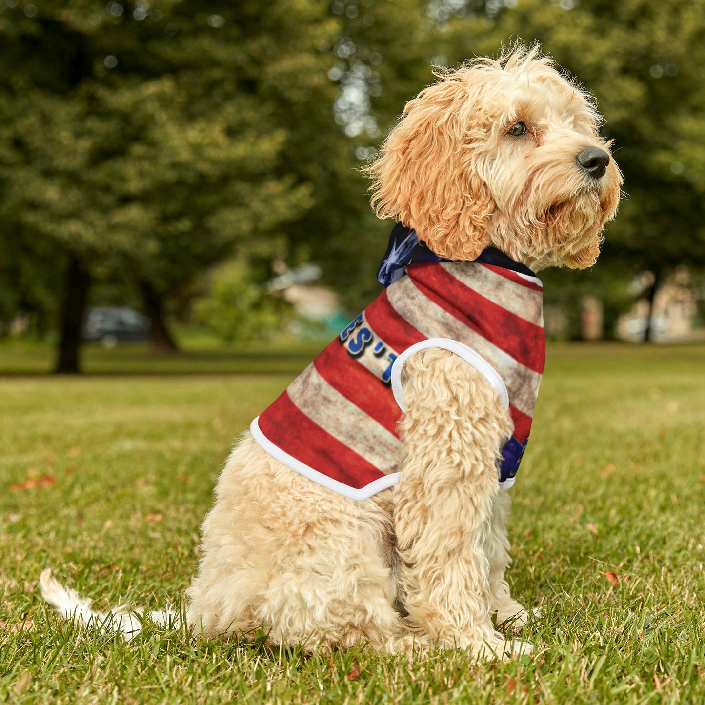 Dog Hoodie