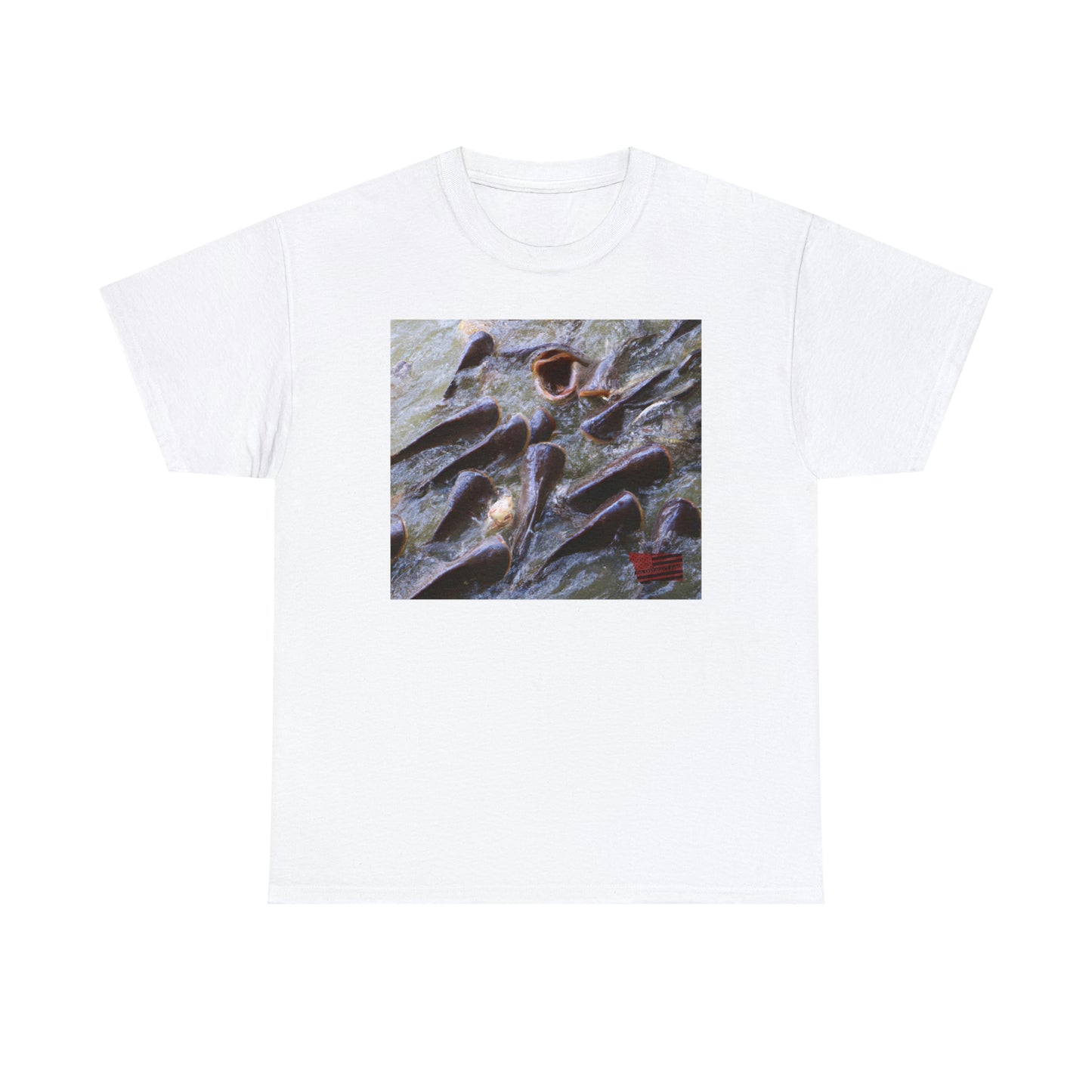 Manx Harlequin Tomato Angelfish - Tshirt