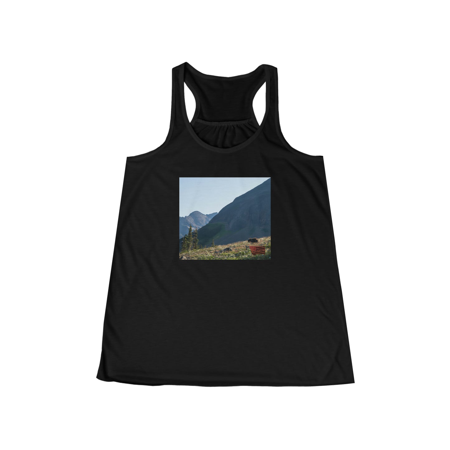 in North Carolina

Mount Mitchell - Tshirt