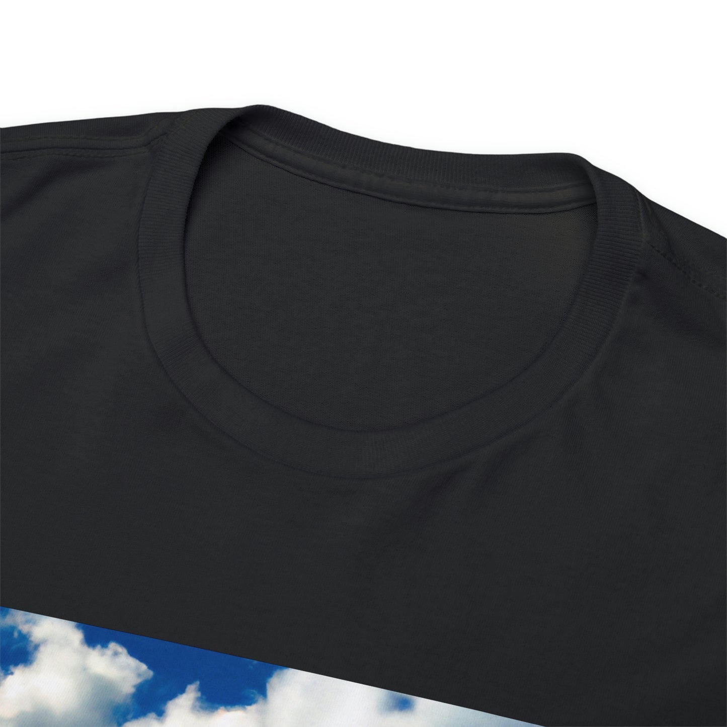 You earned 5 points- T-shirt