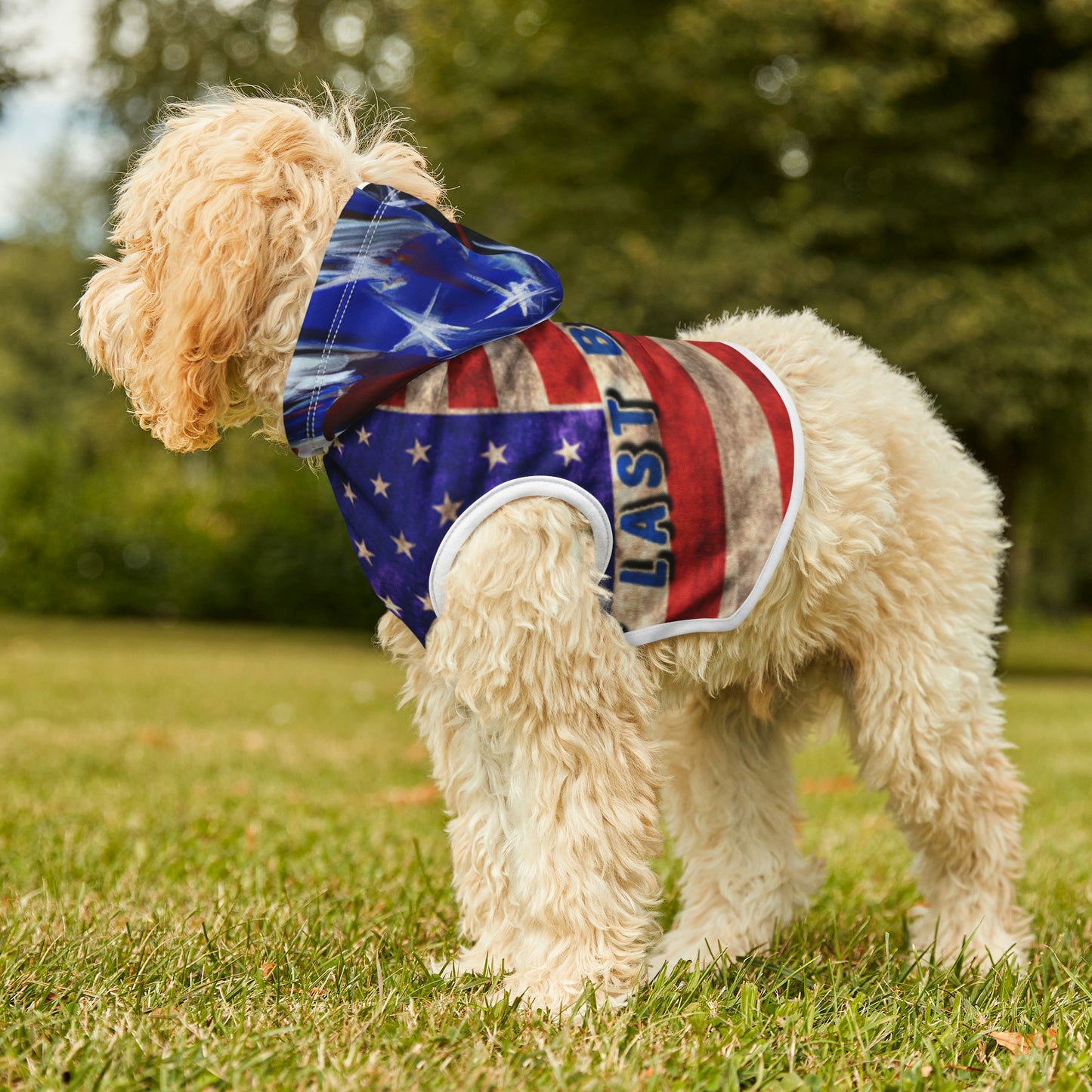 Dog Hoodie