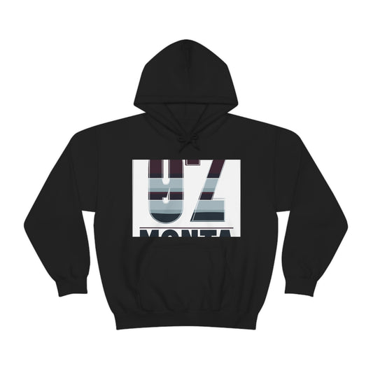 Aeozona - Hoodie