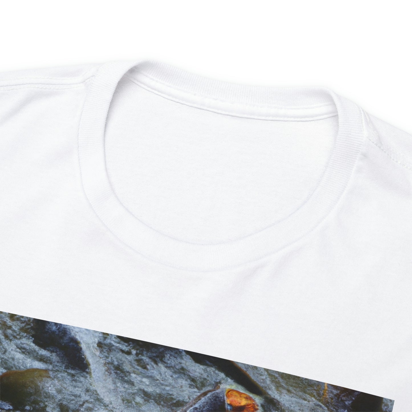 Fantail Bettafish - Tshirt