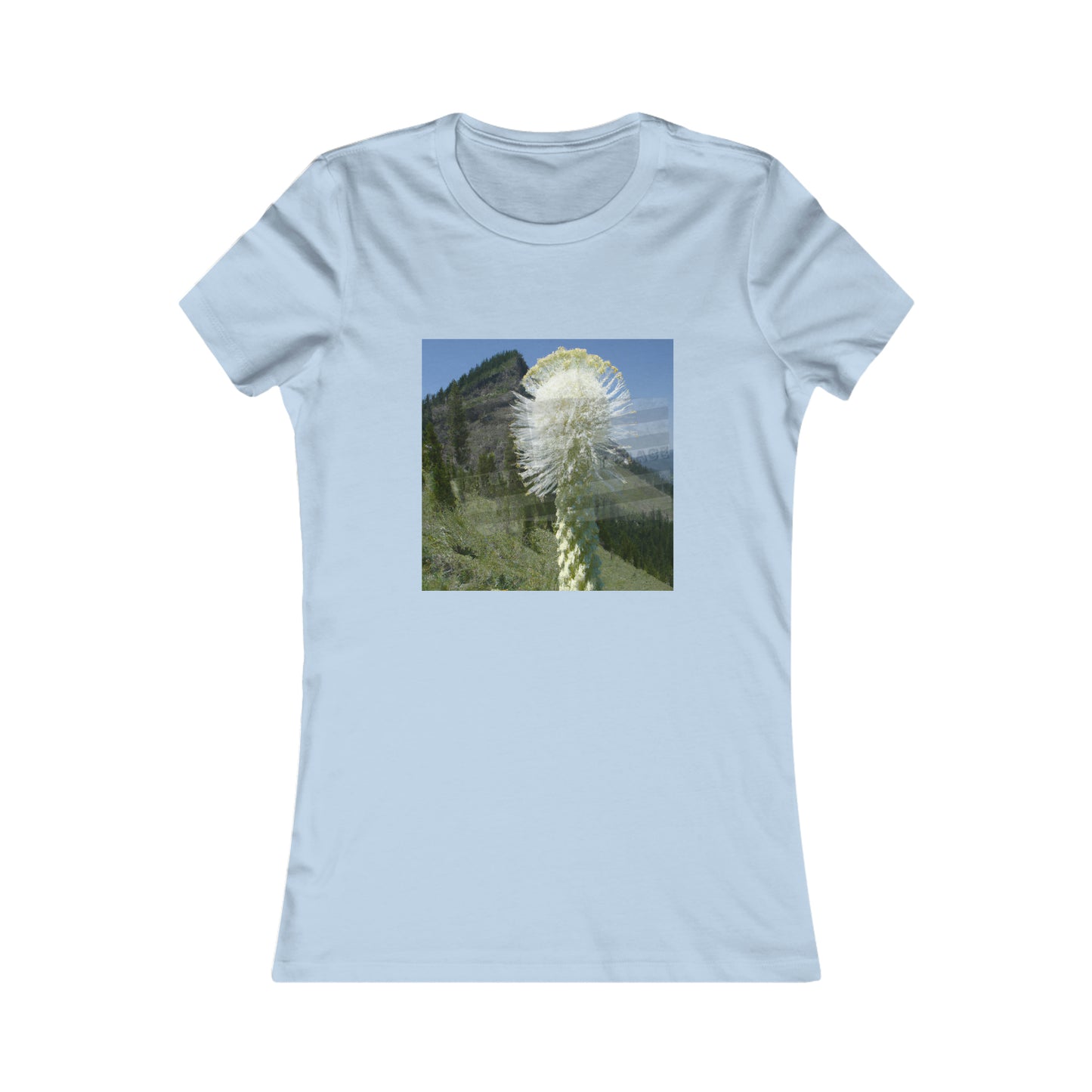 Gerbera Daisy - T-shirt