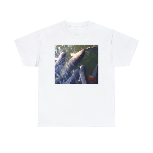 Rainbow Cloudfish! This breed of fish has a unique combination of rainbow and white hues, with a pop of silver along the edges. It is small and docile, making it a perfect addition to home aquariums for both experienced - Tshirt